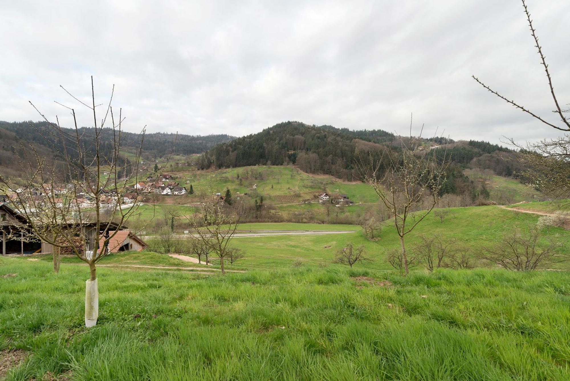 Apartamento Haus Am Schroffen Ottenhofen im Schwarzwald Exterior foto